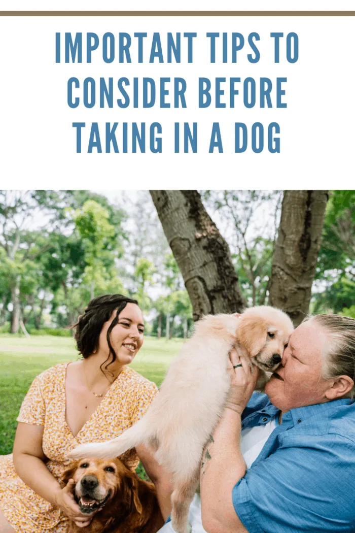 two women who have taken a dog in to their home as a pet
