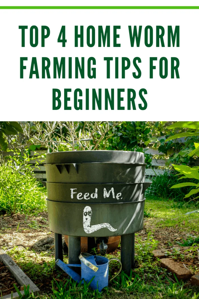 wormery compost bin in organic Australian garden with Feed Me worm sign, sustainable living and zero waste lifestyle