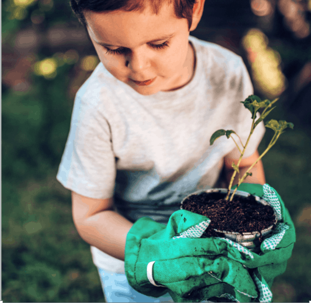 Child planting in backyard