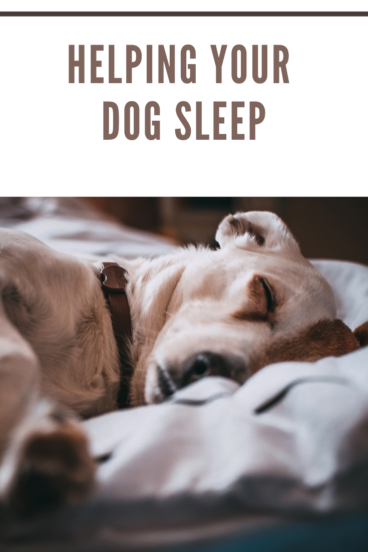Dog owners looking to provide their favorite canines with a peaceful night’s slumber should put the following tips to good use.
