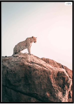 leopard poster