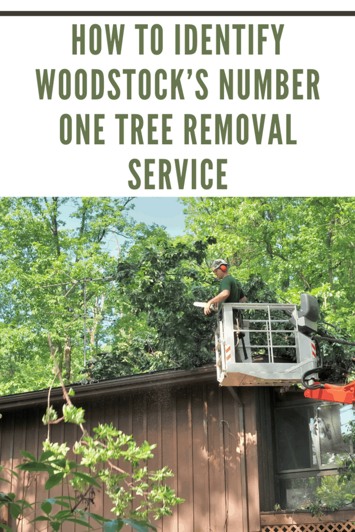 A forester in a high lift device, Patrick, uses a chain saw, to remove fallen trees from the roof of my house, A branch has been thrown to the ground and sawdust fill the air,