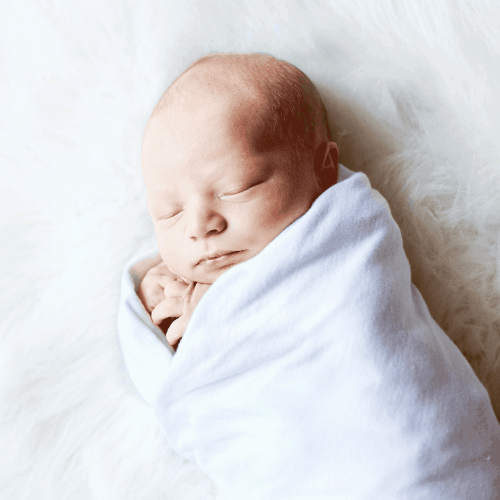 Newborn Baby Swaddled While on Fur Rug
