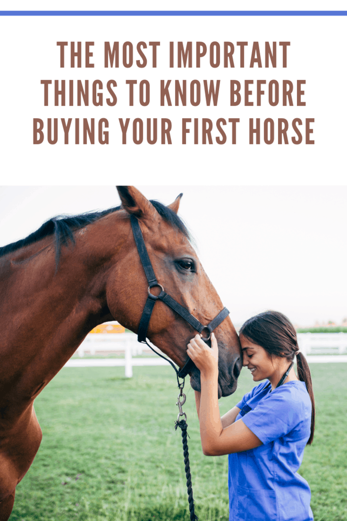 woman enjoying purchase after buying first horse