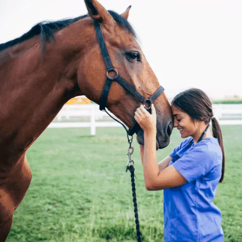 woman enjoying purchase after buying first horse
