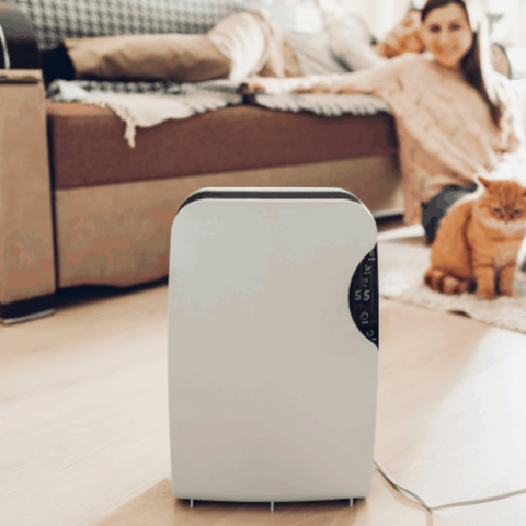 Does An Air Purifier Help With Dust Allergies?