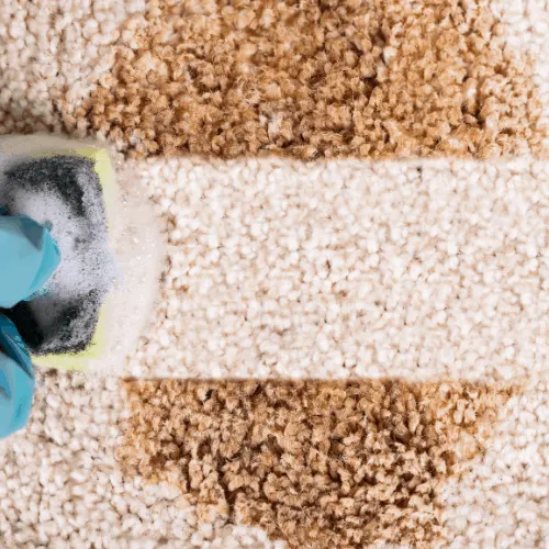 High Angle View Of A Person Wearing Gloves Cleaning Spilled Coffee On Carpet With Sponge