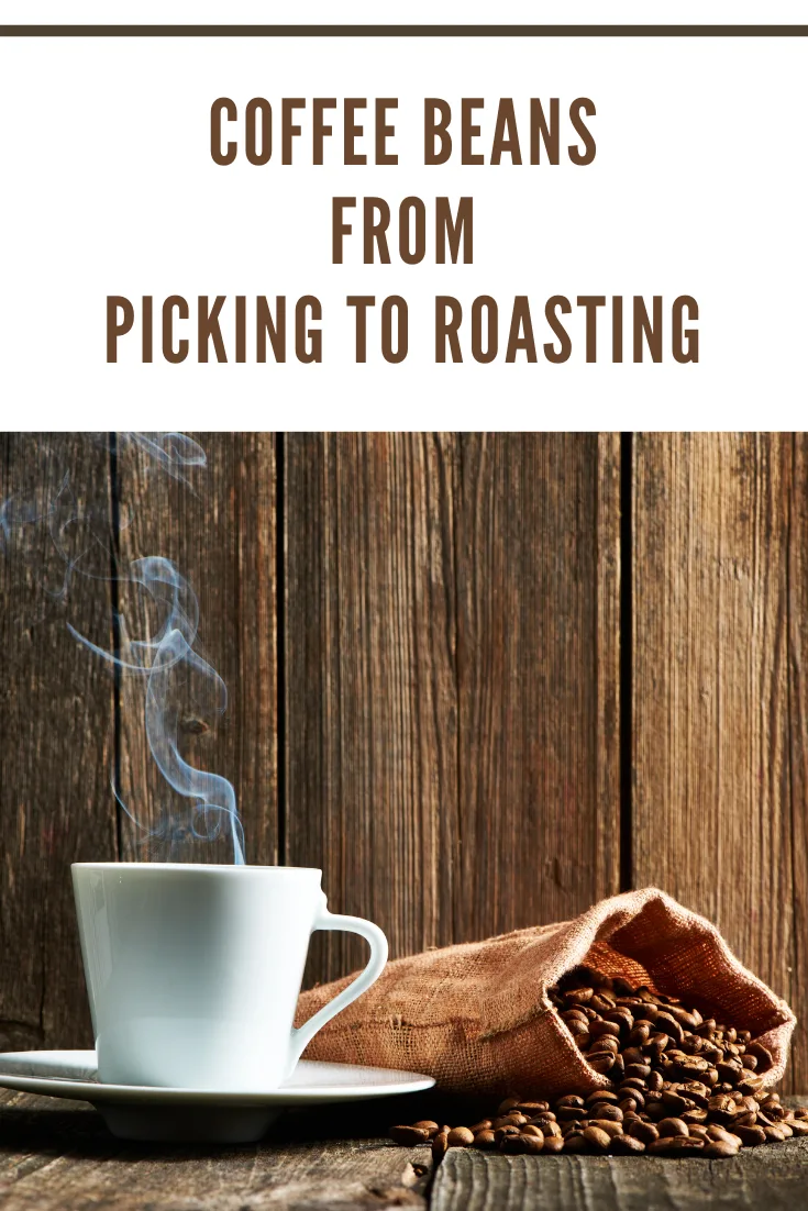 Hot brewed coffee with roasted beans in burlap bag

