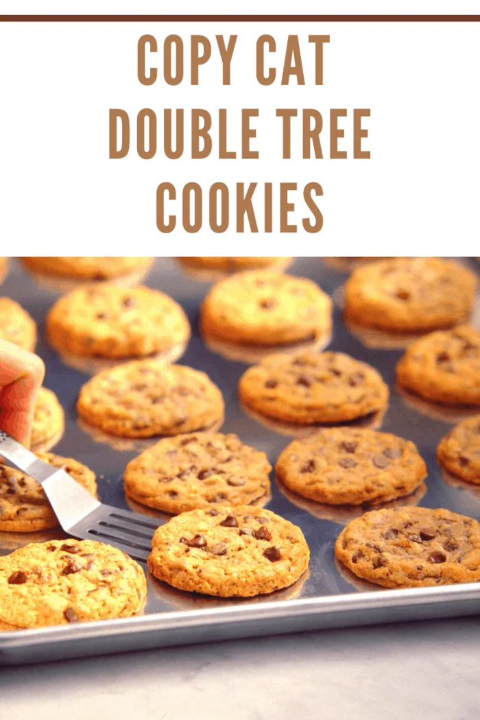 double tree cookies on cookie sheet out of the oven