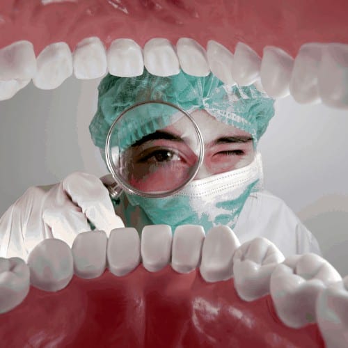 A dentist and patient examination