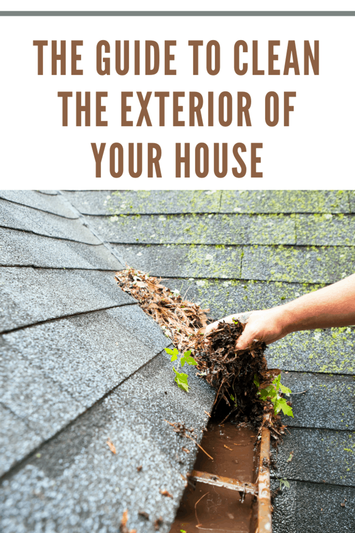 A male hand is cleaning a house roof eave copper rain gutter which is filled with plant debris and some growing plants. Some water has accumulated in the gutter and moss is growing on the background shingles.