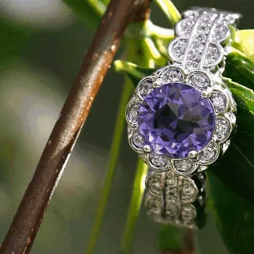 Amethyst and diamond ring on a branch.