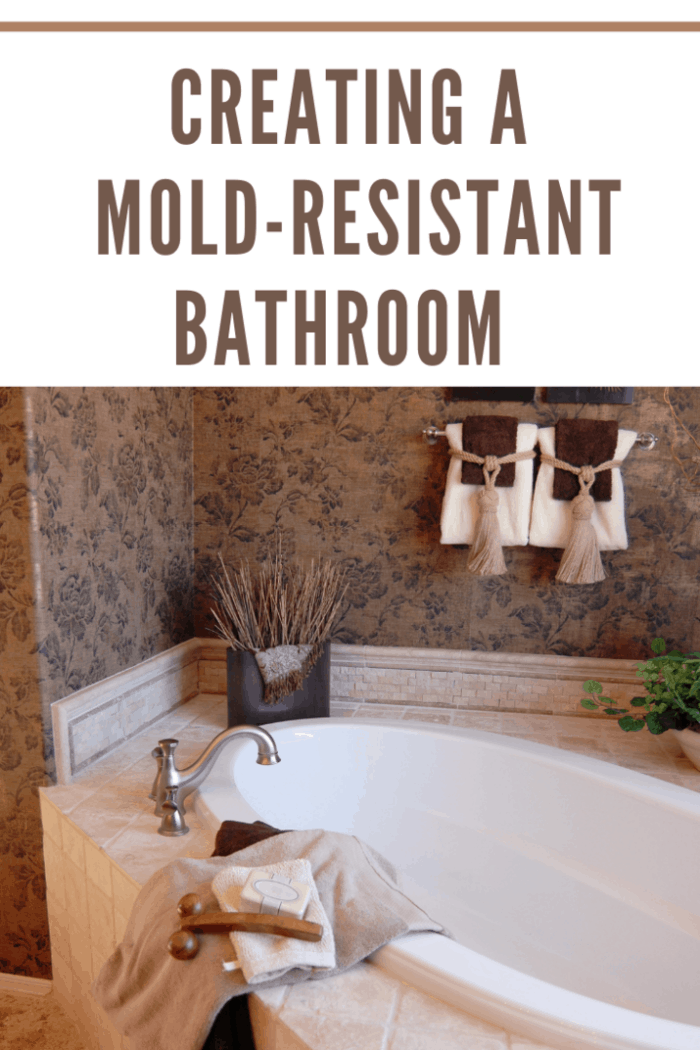 Creating A Mold Resistant Bathroom • Mommys Memorandum 