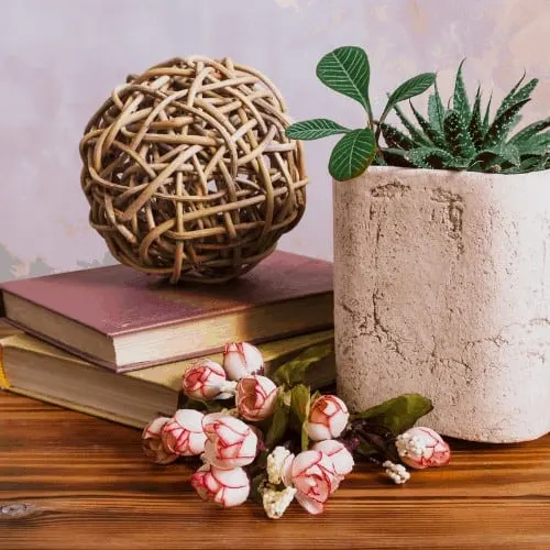 Potted houseplants, books and flowers on wooden table.