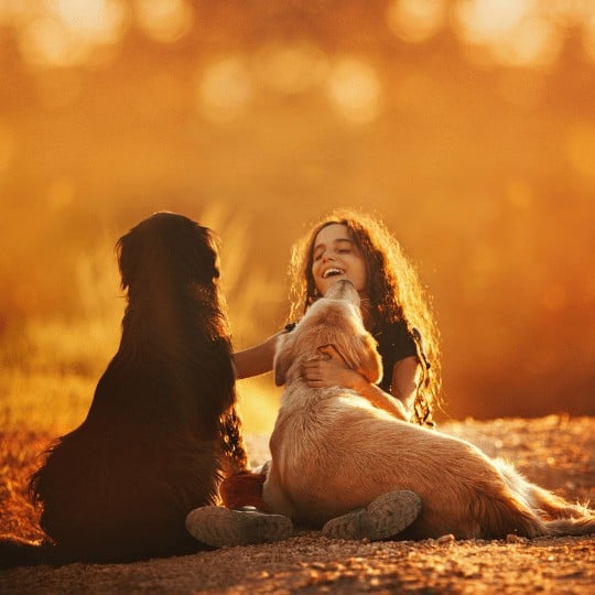 happy girl with dogs at sunset