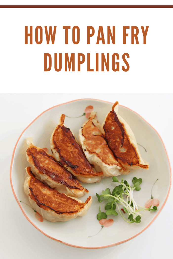 pan fried dumplings on plate