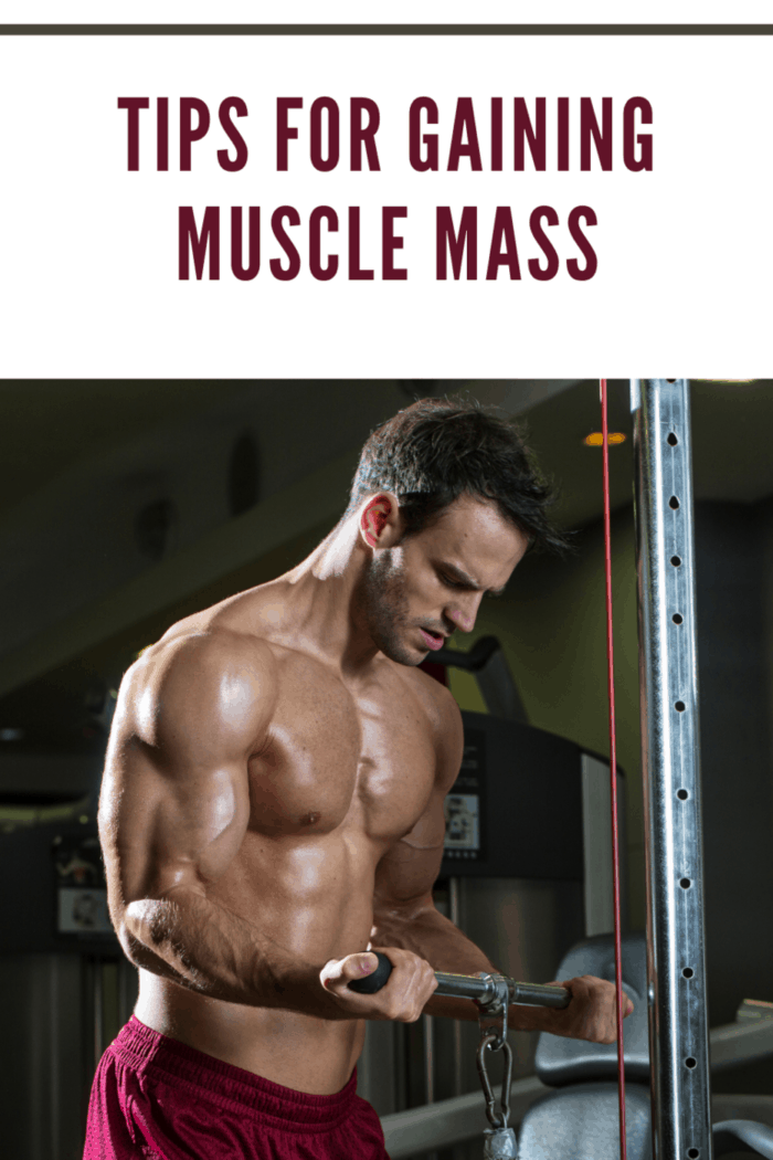 Tips On How To Gain Muscle Mass For Bodybuilding • Mom's Memo