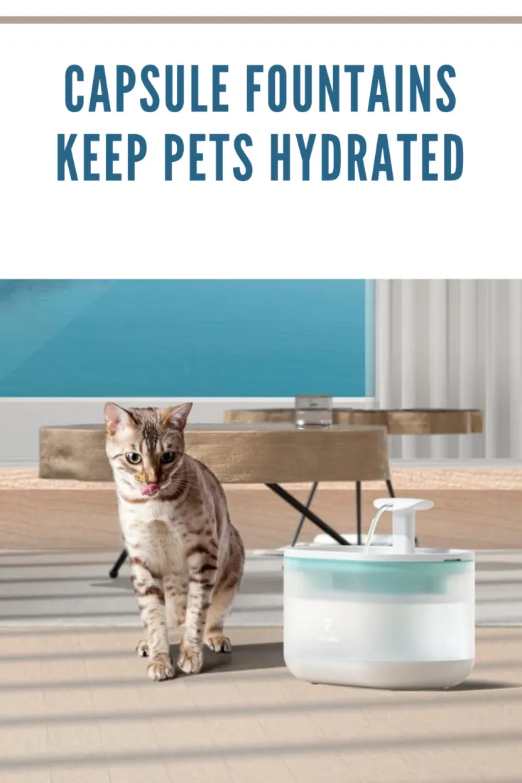 Petlibro Capsule Fountain