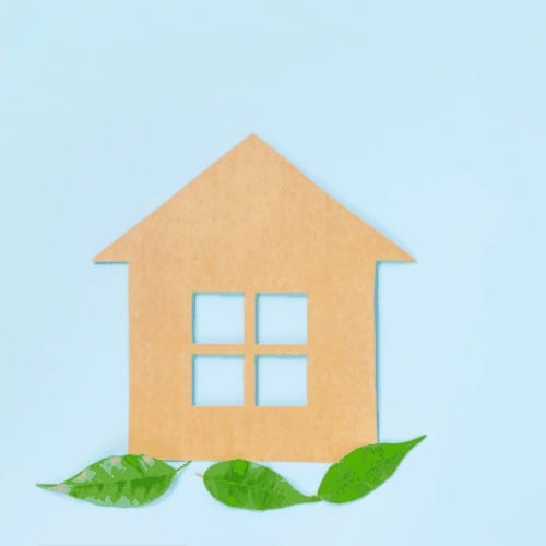 Eco-friendly home concept