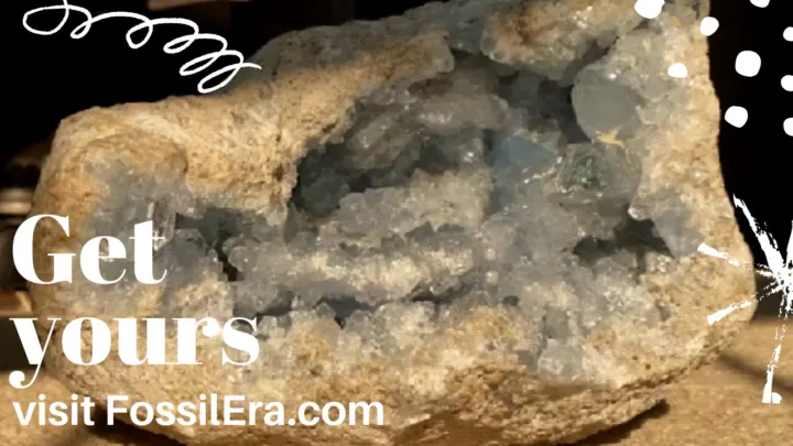 celestite from FossilEra.com