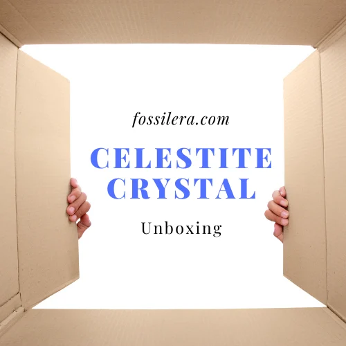 fossilera.com unboxing