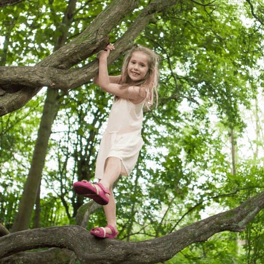 A happy little girl is climbing a tree in a wooded area