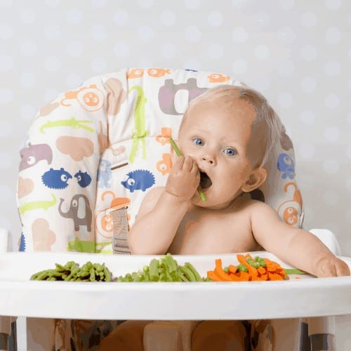 Baby girl sitting in a highchair eating raw, seasonal vegetables: carrots, beans, peas, celery
