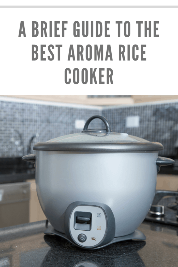 Rice cooker gray