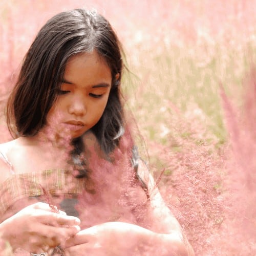 A dreamy image of a young girl picking wild flowers.