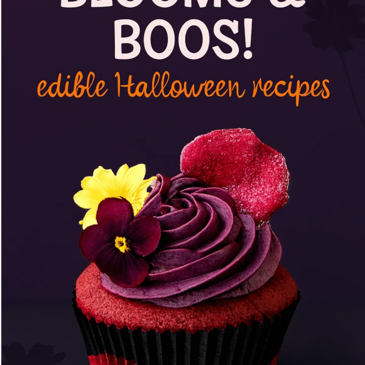 Halloween cupcake decorated with candied rose petals and purple frosting