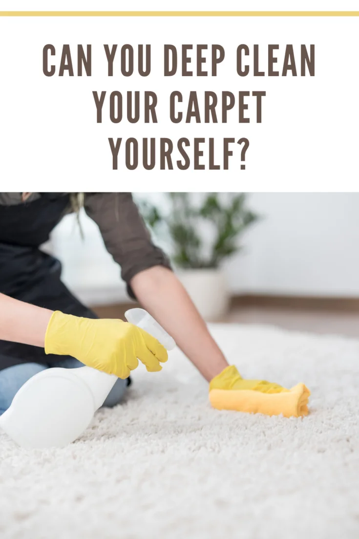 Housewife cleaning carpet with brush and doing housework.