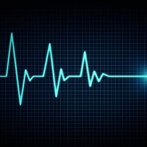 Heart beat line end of life