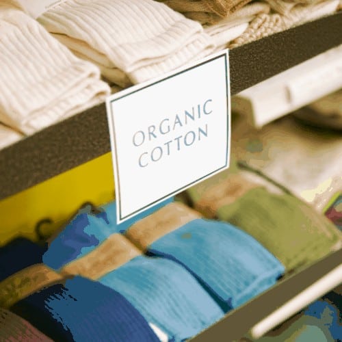 Organic clothing