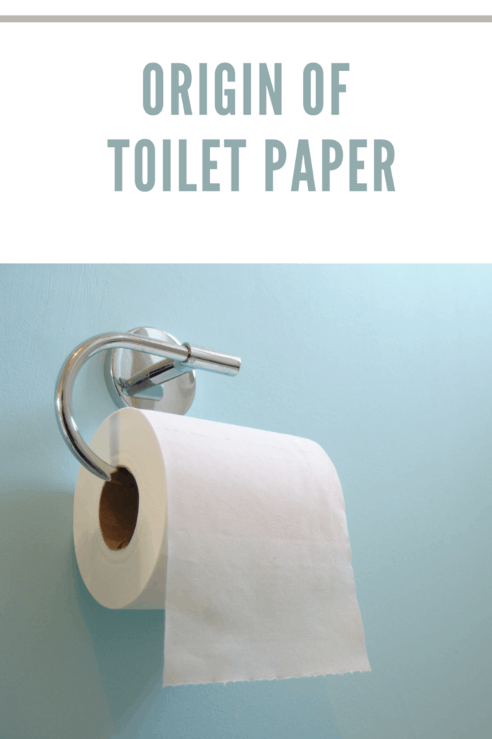 A chrome effect toilet roll holder holding toilet roll on a blue background