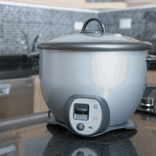 Rice cooker gray