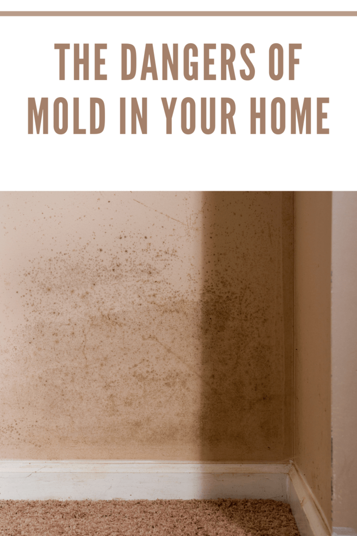 Mold on the walls and baseboard trim in the basement of a home from water leaking. This contributes to interior air pollution in the home, which can lead to respiratory problems.