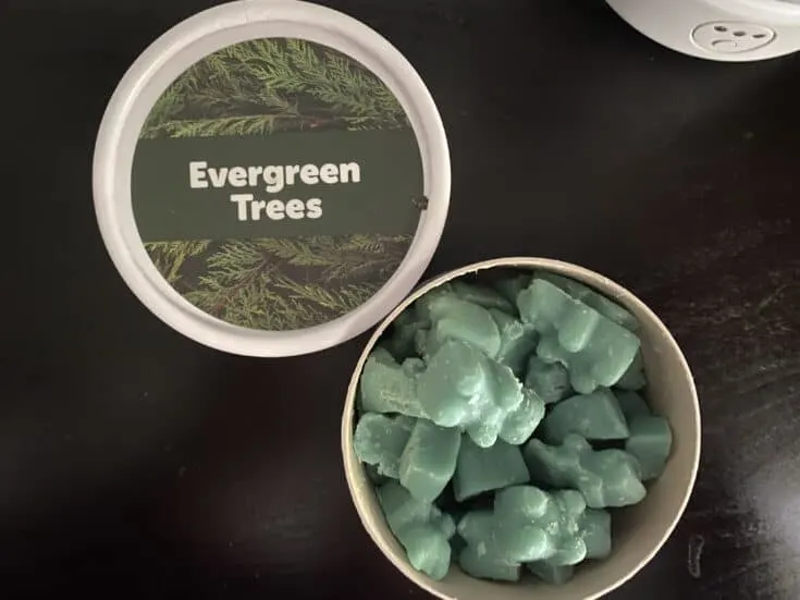 happy wax evergreen trees melts