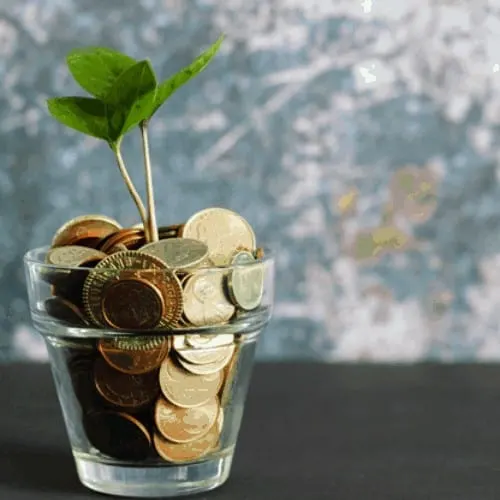 plant growing out of pot filled with coins as a savings concept.