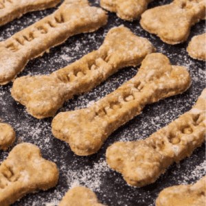 peanut-butter-applesauce-dog-treats