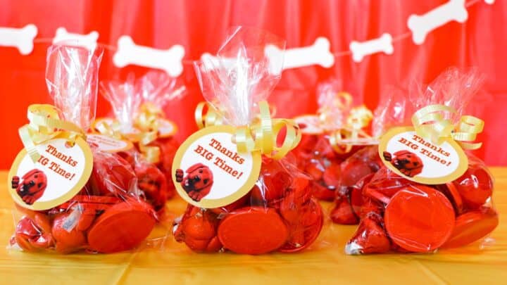 "Thanks BIG Time!" printable round label attached to a clear treat bag with unbranded red candies/wrapped candies.