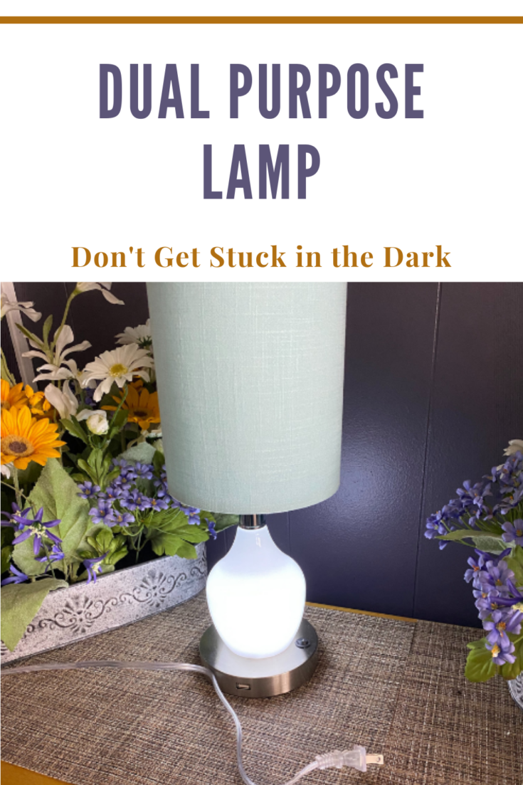 dual purpose lamp