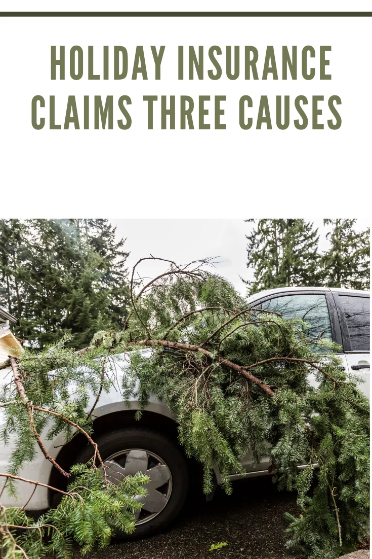 fallen tree branches on car