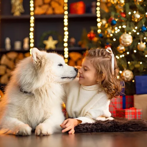 Little Girl Boops Pet Dog on Christmas (1)