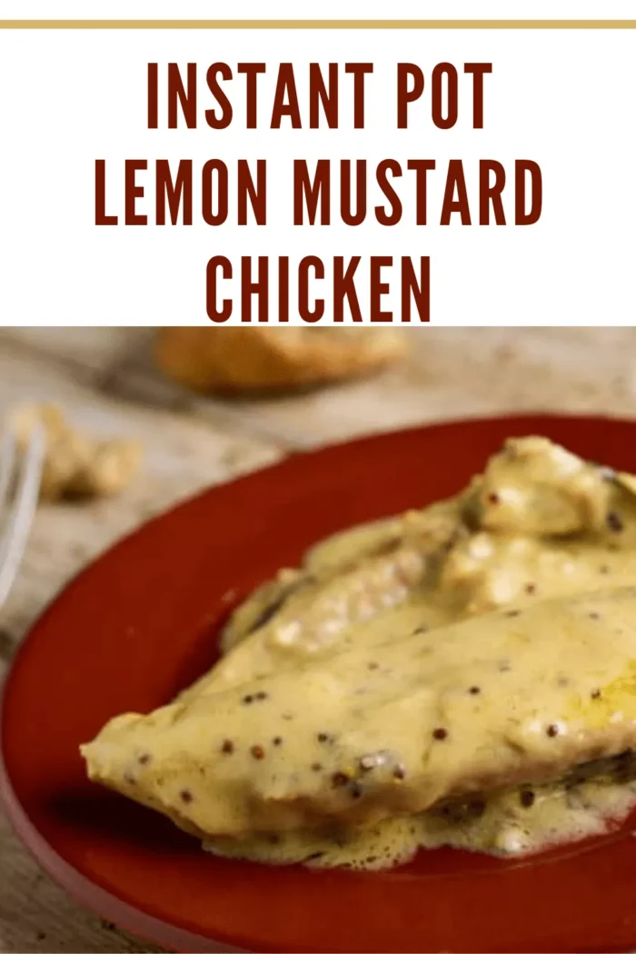 lemon-mustard-chicken-on-red-plate