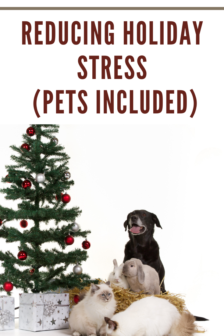 pets and christmas tree