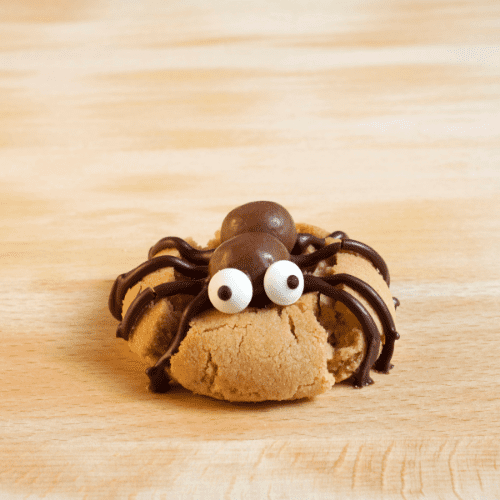 single-peanut-butter-spider-cookie