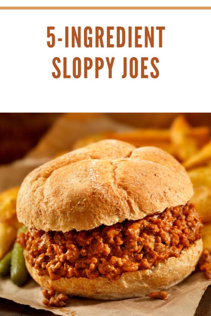 Easy 5-Ingredient Sloppy Joes - Graceful Little Honey Bee