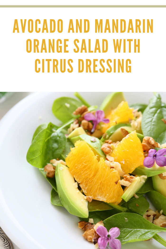 Avocado and Mandarin Orange Salad with Citrus Dressing