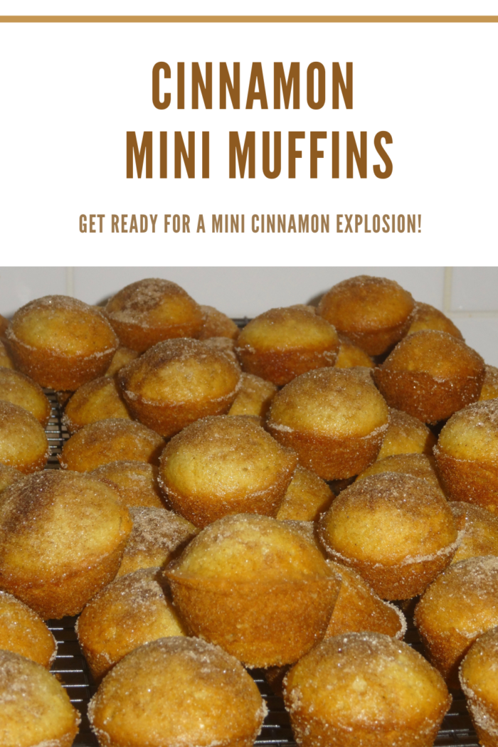 Bite sized cinnamon mini muffins stacked