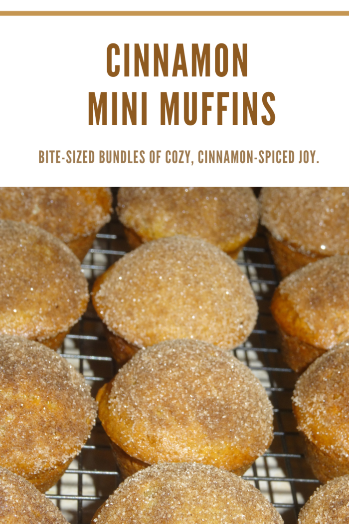 Cinnamon Mini Muffins - close up